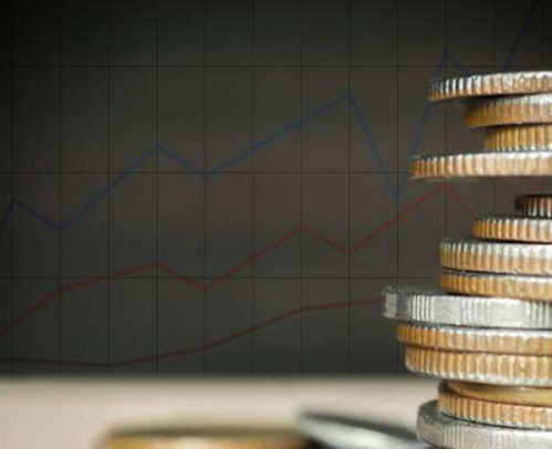 股權(quán)投資與償債能力綜合分析 性價(jià)比出眾的投資策略